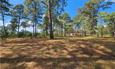 Bonito terreno en zona de bosque de mazamitla, jalisco