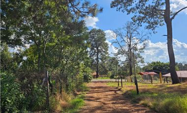 Bonito terreno en zona de bosque de mazamitla, jalisco