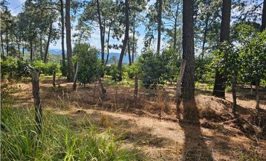 Bonito terreno en zona de bosque de mazamitla, jalisco