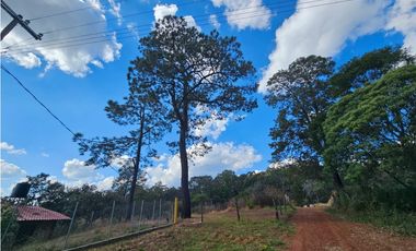 Bonito terreno en zona de bosque de mazamitla, jalisco