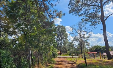 Bonito terreno en zona de bosque de mazamitla, jalisco