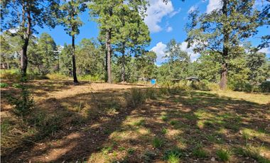 Bonito terreno en zona de bosque de mazamitla, jalisco