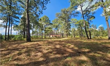 Bonito terreno en zona de bosque de mazamitla, jalisco