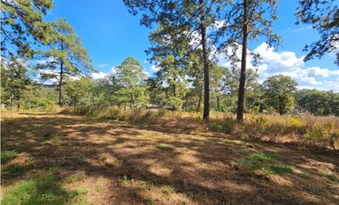 Bonito terreno en zona de bosque de mazamitla, jalisco