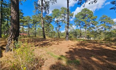 Bonito terreno en zona de bosque de mazamitla, jalisco