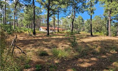 Bonito terreno en zona de bosque de mazamitla, jalisco