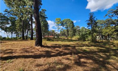 Bonito terreno en zona de bosque de mazamitla, jalisco