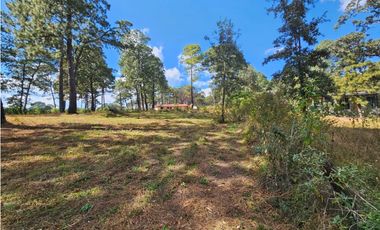 Bonito terreno en zona de bosque de mazamitla, jalisco