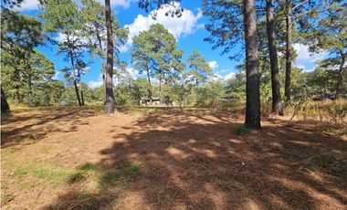 Bonito terreno en zona de bosque de mazamitla, jalisco