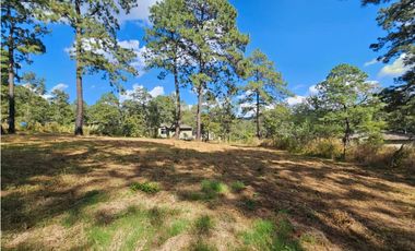 Bonito terreno en zona de bosque de mazamitla, jalisco