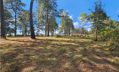 Bonito terreno en zona de bosque de mazamitla, jalisco