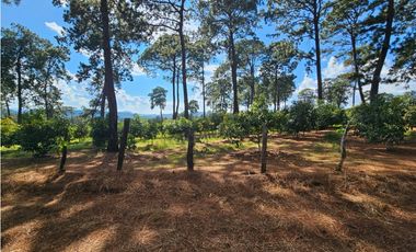 Bonito terreno en zona de bosque de mazamitla, jalisco