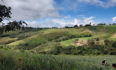 Lotes En Alto Pavas Sector La Antena .3500 Mtr2