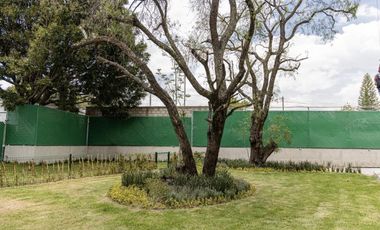 Departamento en Venta en Selenite