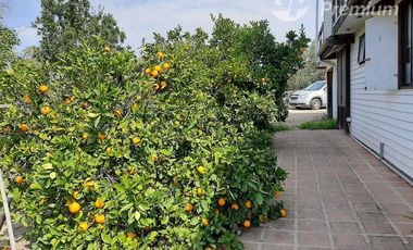 Parcela en Venta en CODIGUA,RUTA G-668,MELIPILLA