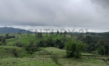 Terrenos en venta Pedro Vicente Maldonado