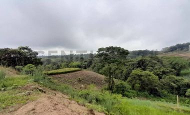 Terrenos en venta Pedro Vicente Maldonado