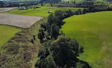 Parcela en Venta en A menos de un kilometro de Loncotoro.