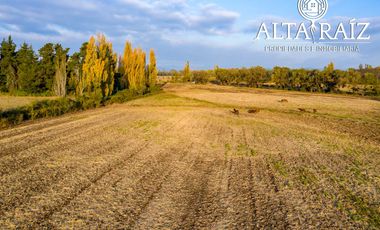 Parcela en venta en ÑIQUÉN