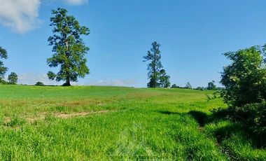 Agrícola en Venta en COD39195 Precioso campo en la comuna de Vilcún a minutos de Temuco