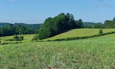 Agrícola en Venta en COD39195 Precioso campo en la comuna de Vilcún a minutos de Temuco