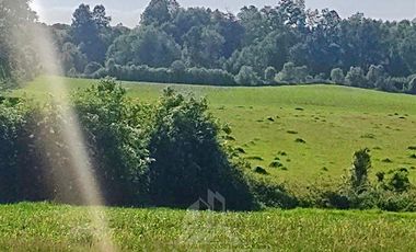 Agrícola en Venta en COD39195 Precioso campo en la comuna de Vilcún a minutos de Temuco