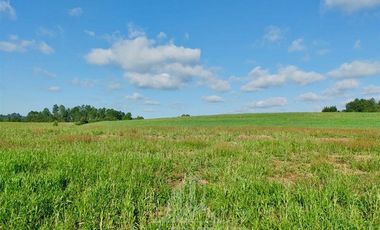 Agrícola en Venta en COD39195 Precioso campo en la comuna de Vilcún a minutos de Temuco