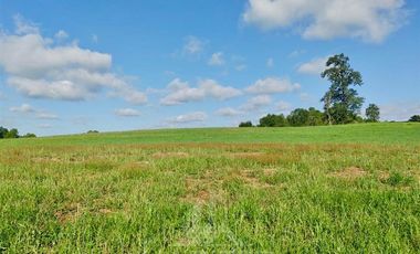 Agrícola en Venta en COD39195 Precioso campo en la comuna de Vilcún a minutos de Temuco