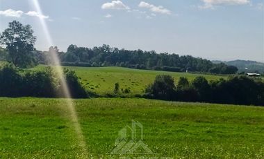 Agrícola en Venta en COD39195 Precioso campo en la comuna de Vilcún a minutos de Temuco