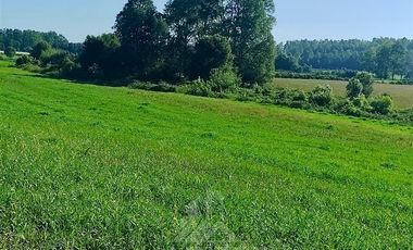 Agrícola en Venta en COD39195 Precioso campo en la comuna de Vilcún a minutos de Temuco