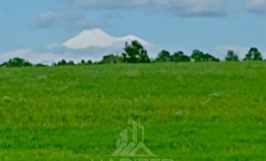 Agrícola en Venta en COD39195 Precioso campo en la comuna de Vilcún a minutos de Temuco