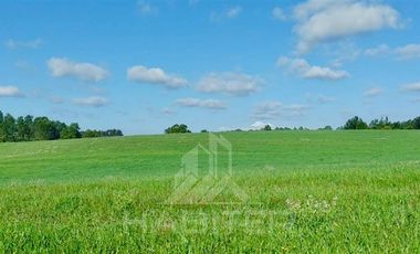 Agrícola en Venta en COD39195 Precioso campo en la comuna de Vilcún a minutos de Temuco