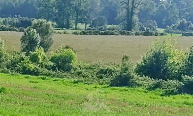 Agrícola en Venta en COD39195 Precioso campo en la comuna de Vilcún a minutos de Temuco