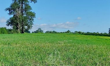 Agrícola en Venta en COD39195 Precioso campo en la comuna de Vilcún a minutos de Temuco
