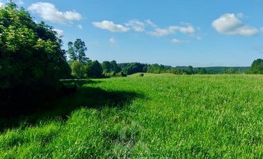 Agrícola en Venta en COD39195 Precioso campo en la comuna de Vilcún a minutos de Temuco