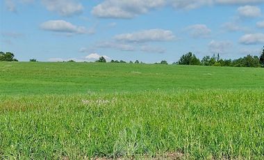 Agrícola en Venta en COD39195 Precioso campo en la comuna de Vilcún a minutos de Temuco