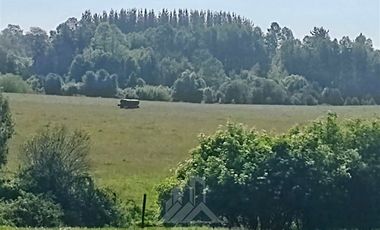 Agrícola en Venta en COD39195 Precioso campo en la comuna de Vilcún a minutos de Temuco