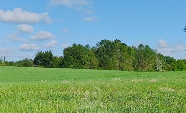 Agrícola en Venta en COD39195 Precioso campo en la comuna de Vilcún a minutos de Temuco