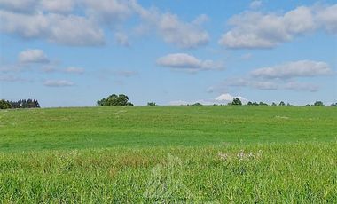 Agrícola en Venta en COD39195 Precioso campo en la comuna de Vilcún a minutos de Temuco