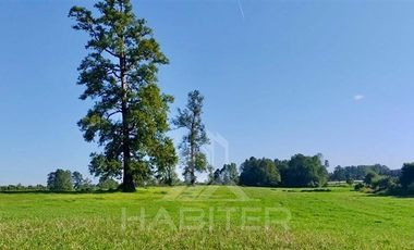 Agrícola en Venta en COD39195 Precioso campo en la comuna de Vilcún a minutos de Temuco