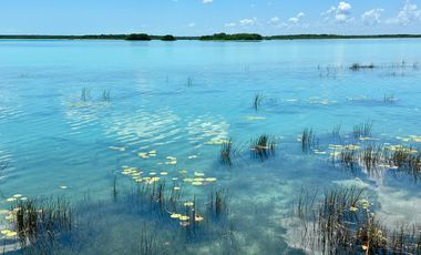 SE VENDE TERRENO EN LA LAGUNA DE BACALAR ZONA CENTRO