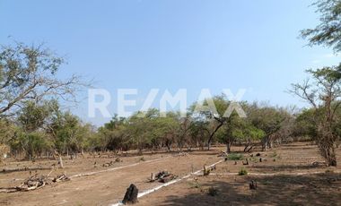 TERRENO EN VENTA EN SANTA CRUZ TEHUANTEPEC - (3)
