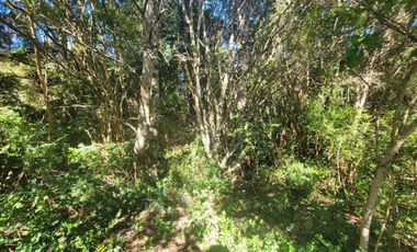 Preciosa parcela de 5.000 m2 con 50 metros de orilla de Río Maullín