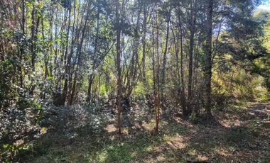 Preciosa parcela de 5.000 m2 con 50 metros de orilla de Río Maullín