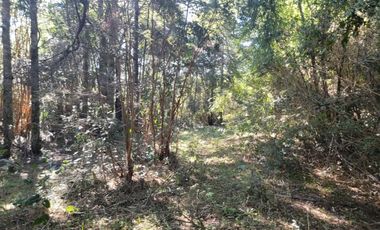 Preciosa parcela de 5.000 m2 con 50 metros de orilla de Río Maullín