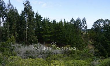 Pichilemu, Terreno en entorno natural con increíble vista al mar