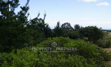 Pichilemu, Terreno en entorno natural con increíble vista al mar