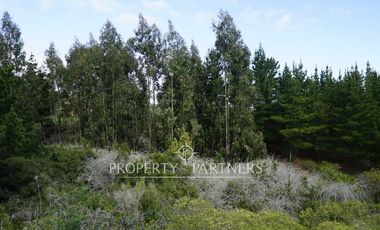 Pichilemu, Terreno en entorno natural con increíble vista al mar