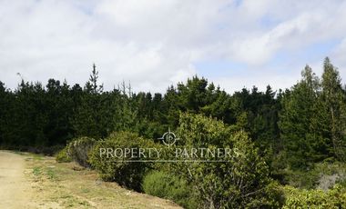 Pichilemu, Terreno en entorno natural con increíble vista al mar
