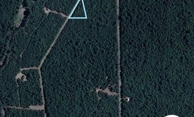 Terreno de media hectárea en Lago Chapo, Puerto Montt